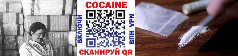 Купить закладки Кинель Кокаин Fish Scale