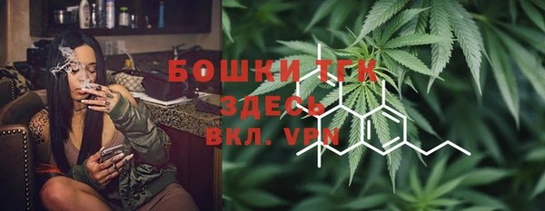 гашик Карпинск