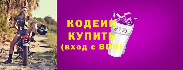 гашик Карпинск