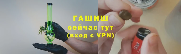 гашик Карпинск