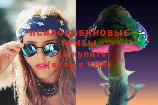 крисы Касимов