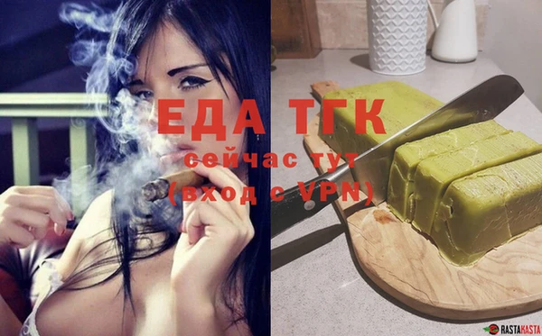 гашик Карпинск