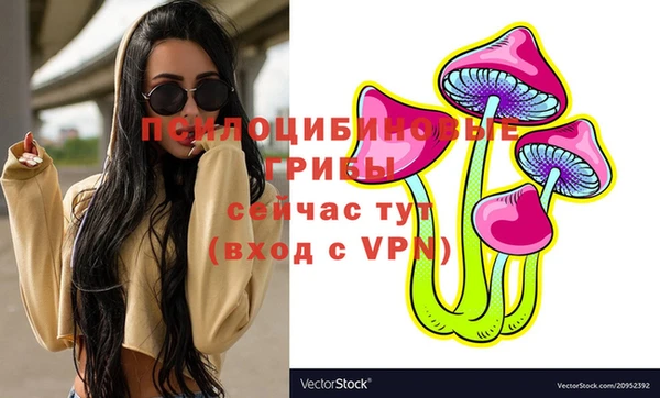 гашик Карпинск