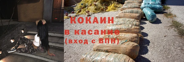 гашик Карпинск