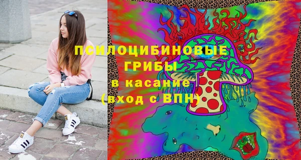 крисы Касимов
