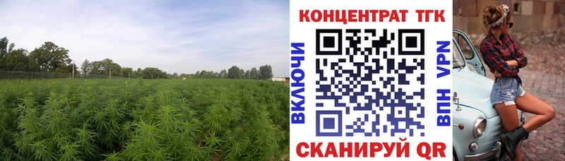 Дистиллят ТГК вейп  Купить  Кинель 