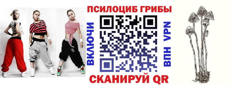 Купить закладки  Кинель  Галлюциногенные грибы GOLDEN TEACHER 