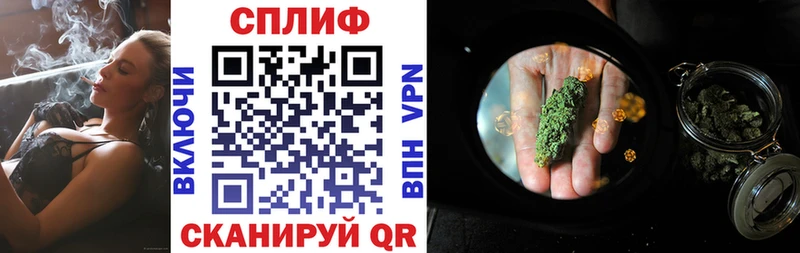 Купить  Кинель  Бошки Шишки сатива 